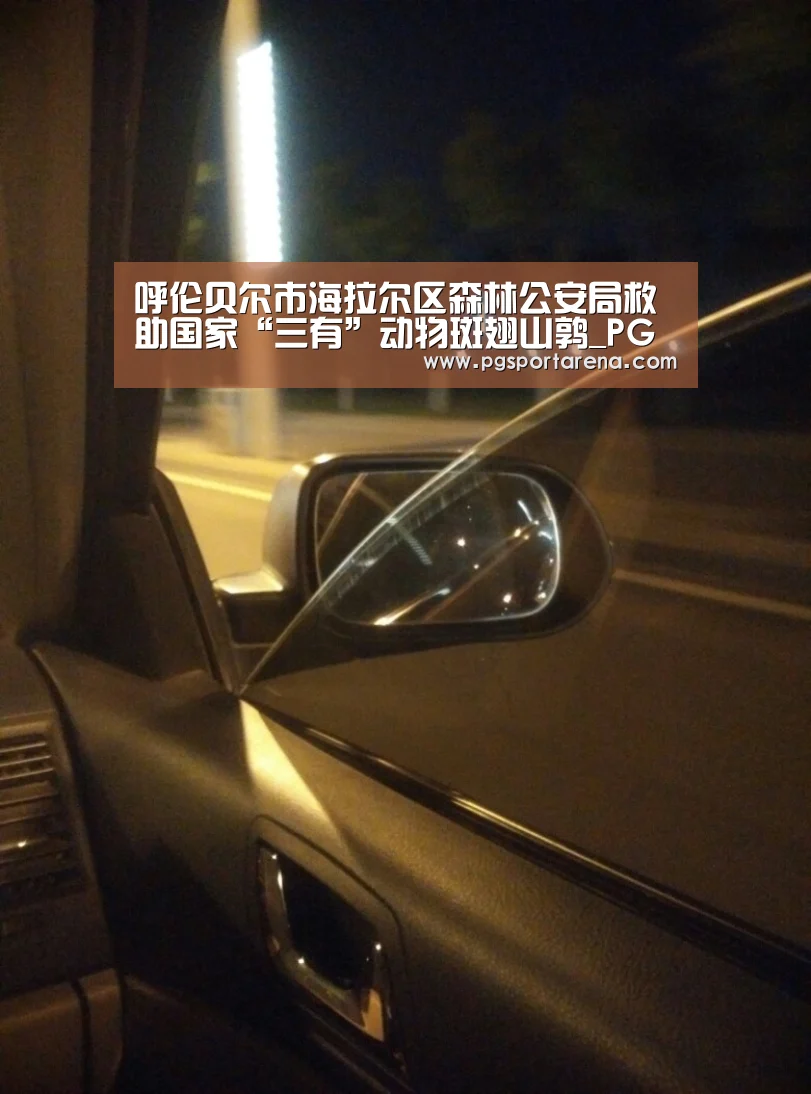 呼伦贝尔市海拉尔区森林公安局救助国家“三有”动物斑翅山鹑_PG试玩(图3) PG中国