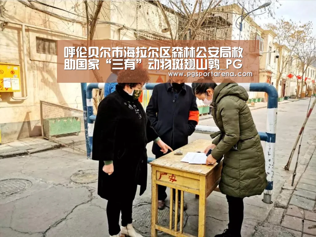呼伦贝尔市海拉尔区森林公安局救助国家“三有”动物斑翅山鹑_PG试玩(图4) PG中心