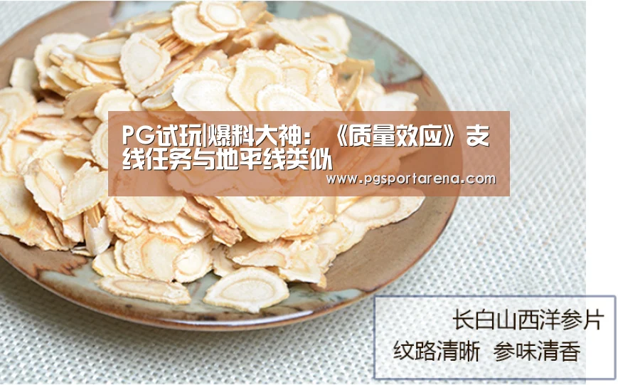 PG地址