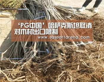 PG中国