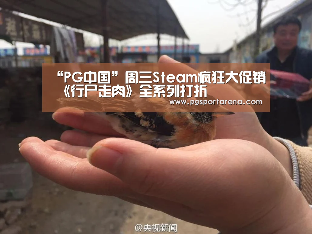 “PG中国”周三Steam疯狂大促销 《行尸走肉》全系列打折(图1) PG地址